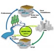 REUSE BOX - Réutilisation des eaux usées traitées