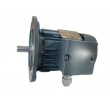 Vue du moteur VEM K21R80K6 triphasé – arbre inox Ø19 mm