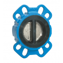 Clapet double battant DN40 à oreilles PN10/16 - BAYARD