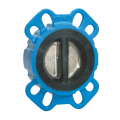 Clapet double battant DN50 à oreilles PN10/16 - BAYARD