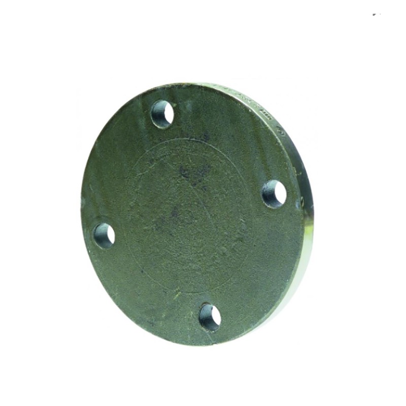 Bride pleine acier DN200 PN10 Bride pleine acier DN200 PN10