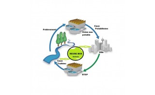 REUT Réutilisation des eaux usées traitées (REUSE)