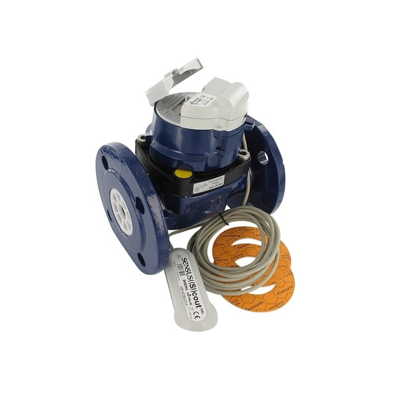7112.0_compteur-d’eau-meistream-dn100-sensus.jpg