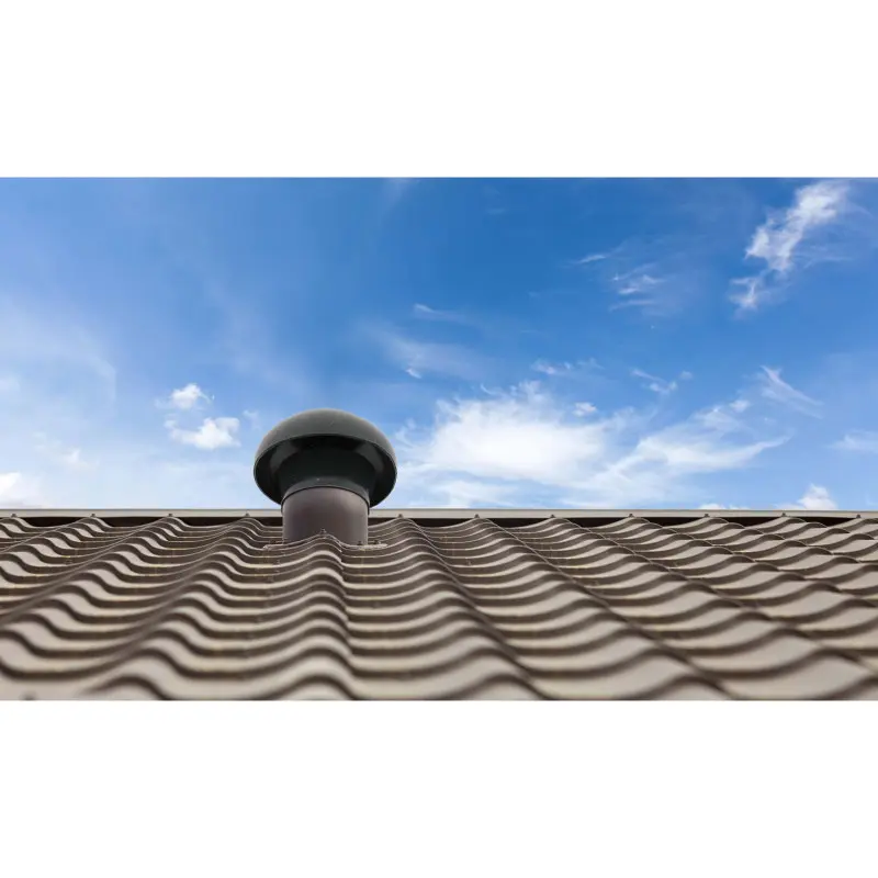 SCHAP040ARD_02.webp