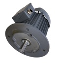 Moteur spécial épuration pour microstations OXY5 et Epuralia - arbre acier SERMES