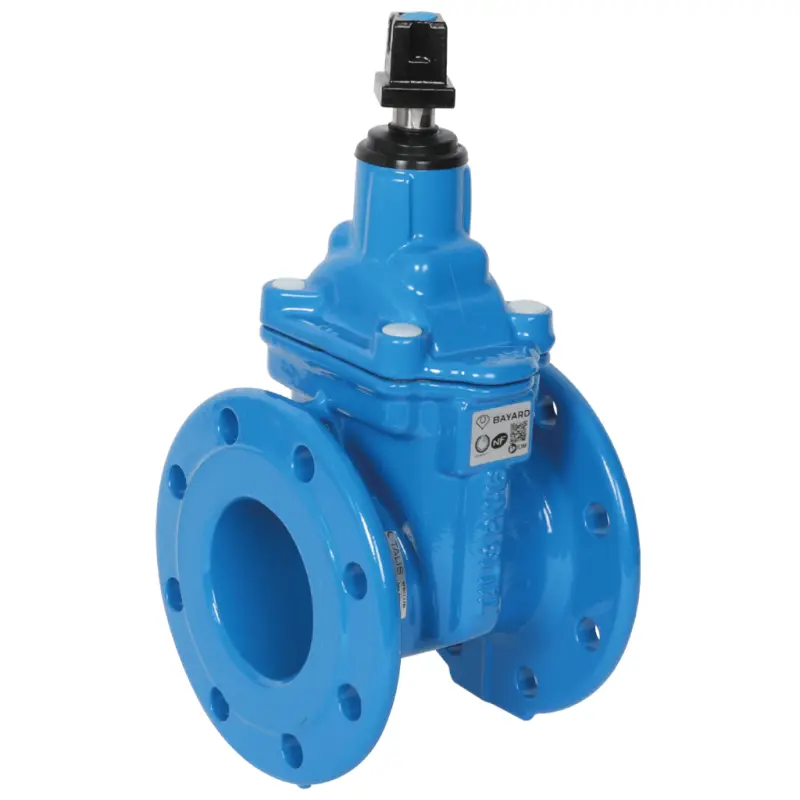 Robinet vanne Infinity série courte Eau usées B1 22 FSH DN150 PN10/16