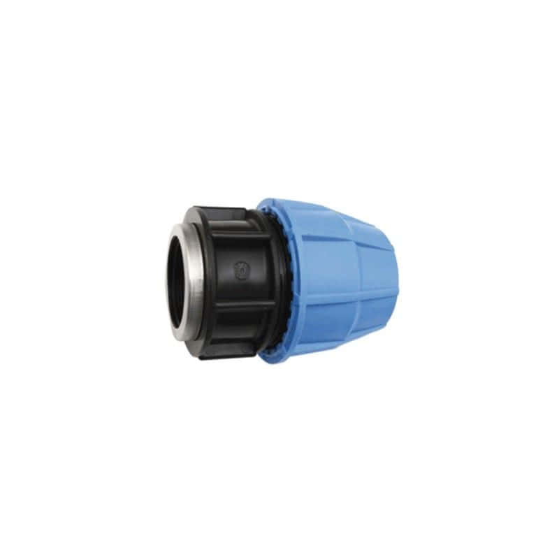 Raccord pour PVC/PEHD 63 tauraudé F 2''