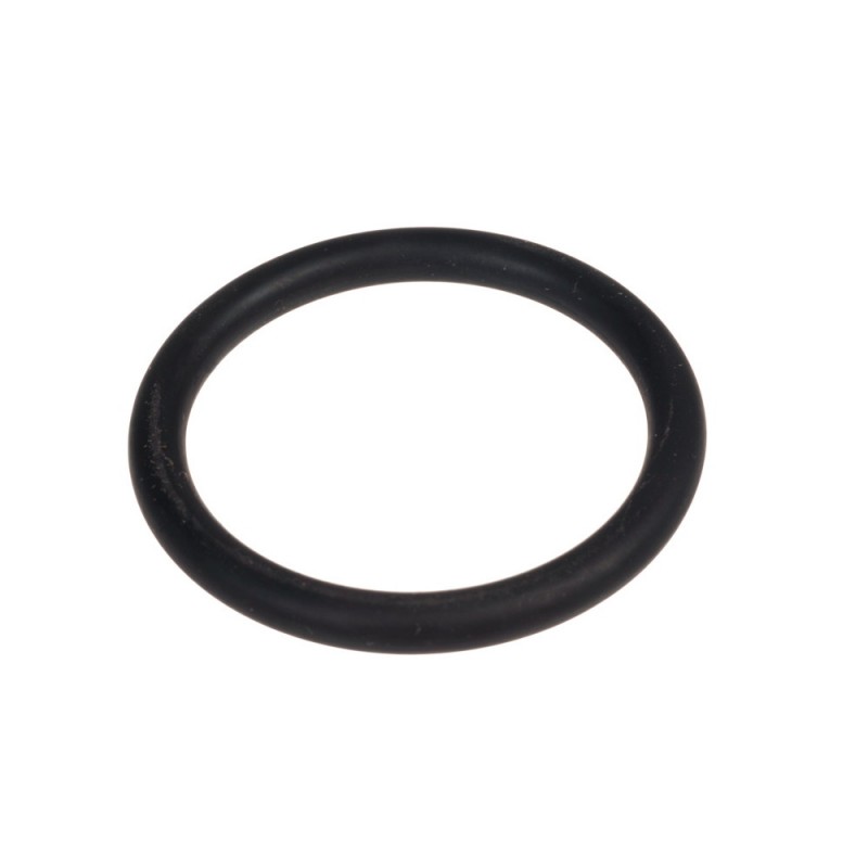 Joint torique pour kit adaptation Delinox DN50 FLYGT