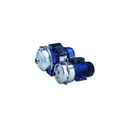 Pompe inox CEA 210/2/D Lowara