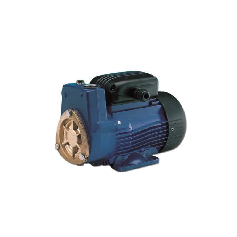 Pompe autoamorçante Lowara SP5