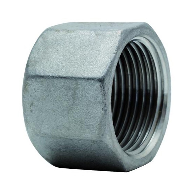 Raccord Inox 316 à visser Bouchon F 2" ou 50 x 60