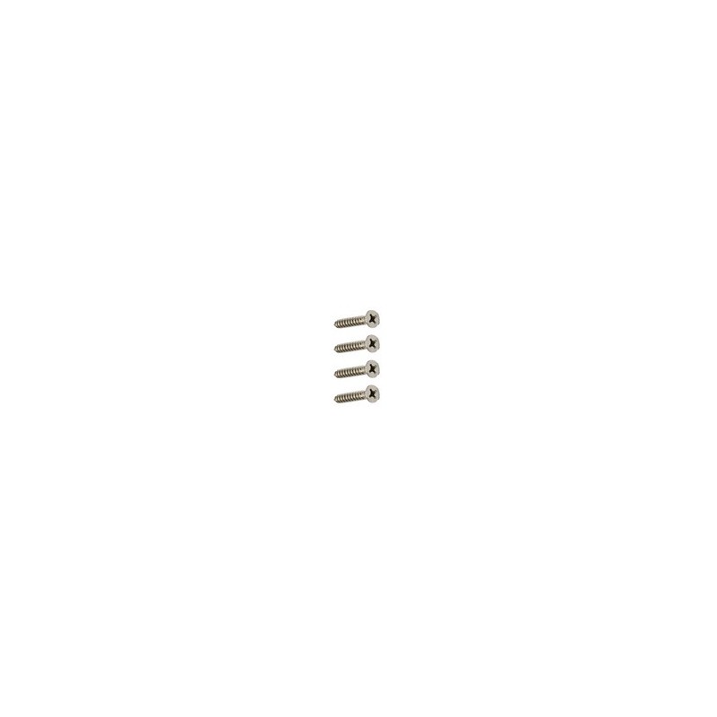 Sachet de 4 vis pour support mural pour filtre vide 3/4"