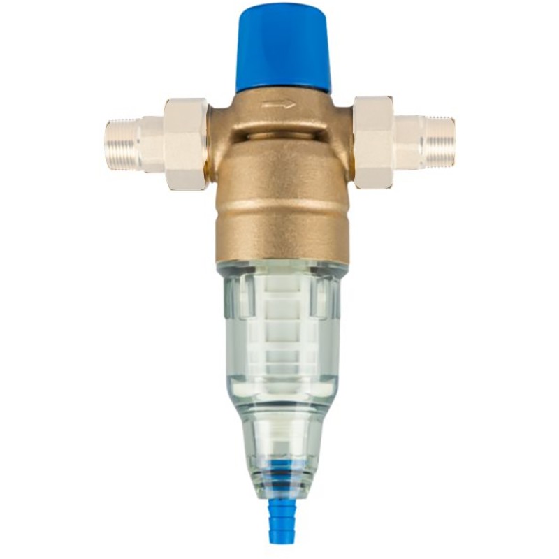 Filtre anti-impuretés à rétro lavage manuel BWT EUROPA RS 1''