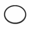 Joint torique pour Filtre Big Blue 10'' et 20''