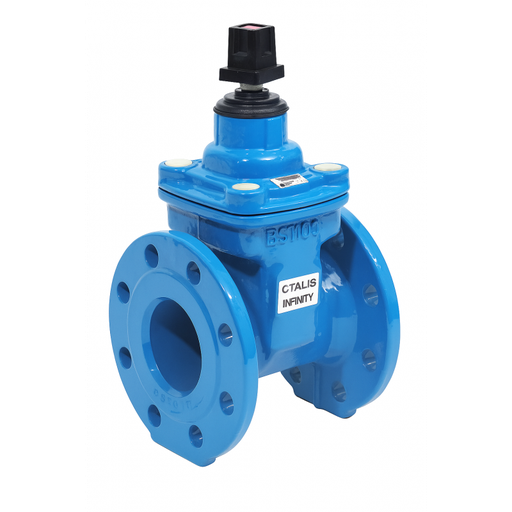 [RGV04380TS] Vanne à opercule INFINITY C DN100 PN10/16 - Série courte - BAYARD