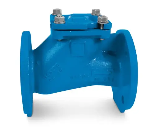 [CHV00502TS] Clapet à boule Série B6 70 DN100 - BAYARD