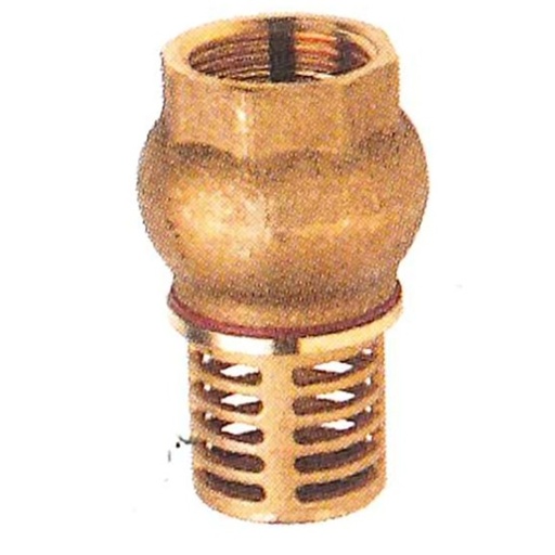 [630407] Clapet de pied crépine laiton 2"
