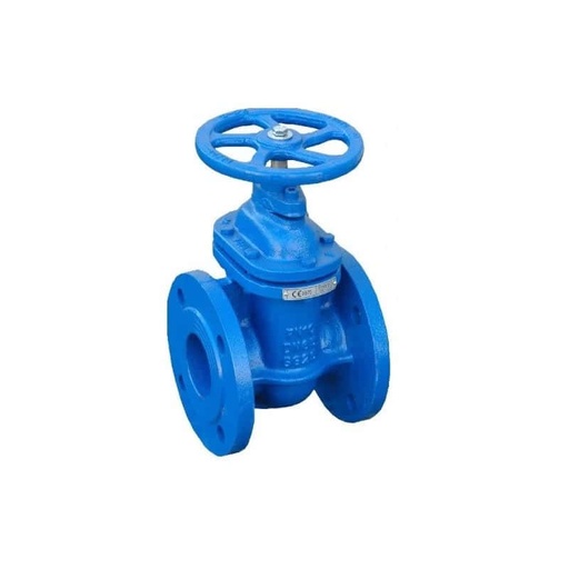 [VANNEOP COURTE DN300PN10] Vanne opercule DN 300 peinture époxy