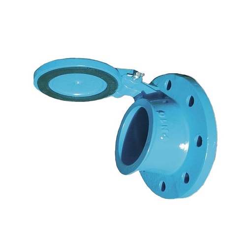 [057801032] Clapet de nez en fonte DN100 série L1 26 BAYARD