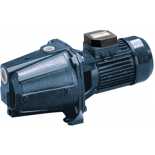 [1120200004I] Électropompe auto-amorcante AGC/I 2.00 T Ebara