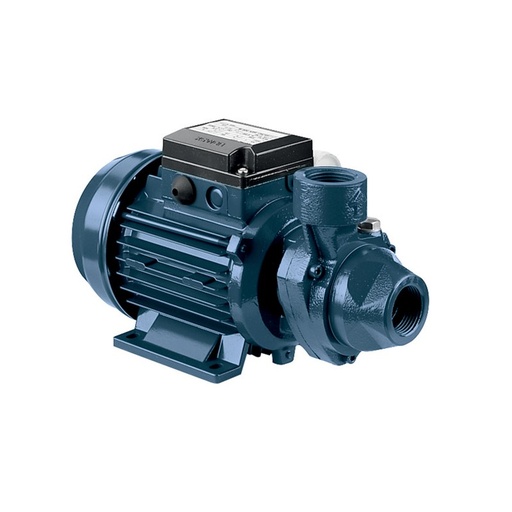 [1150200000A] Pompe périphérique Ebara PRA/A 2.00 M