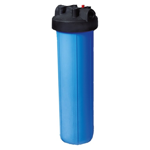 [PENTEK-150273] Filtre E/S 1" - 20" Big Blue