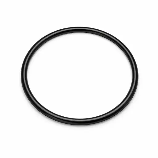 [PR-ORING-BB] Joint torique pour Filtre Big Blue 10'' et 20''
